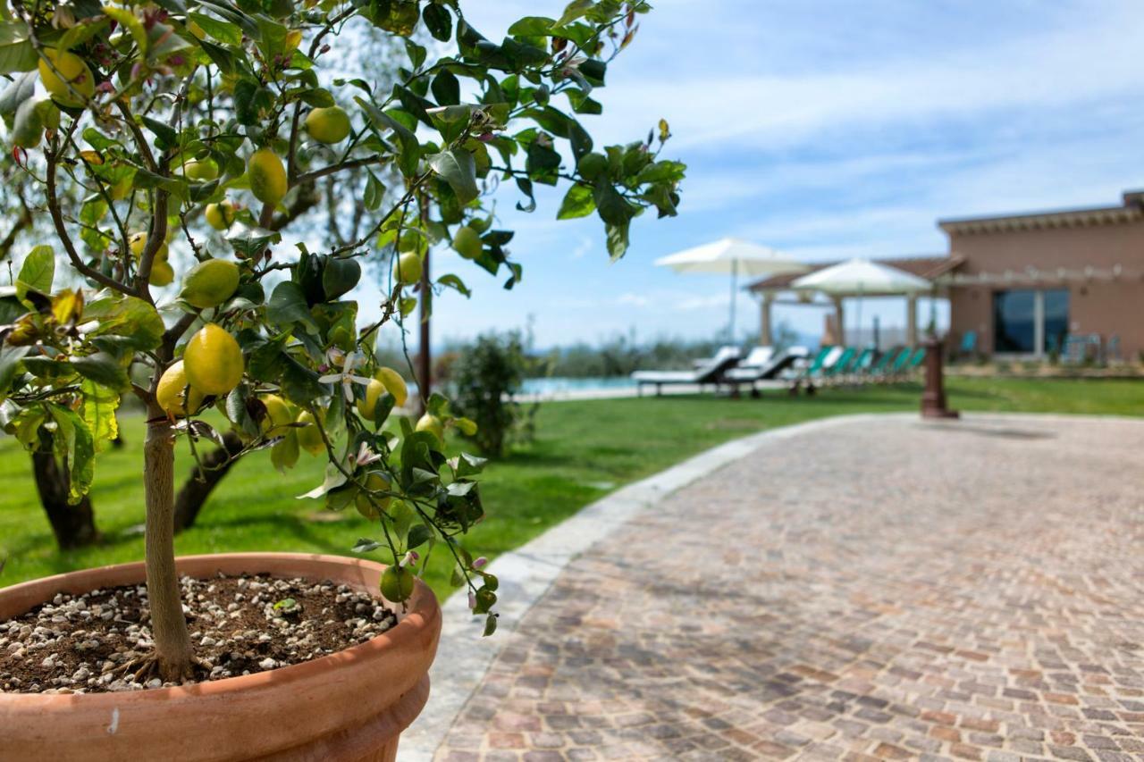 Villa Spaccasole Su Cortona Foiano Della Chiana Dış mekan fotoğraf