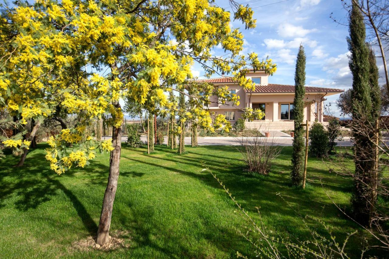 Villa Spaccasole Su Cortona Foiano Della Chiana Dış mekan fotoğraf